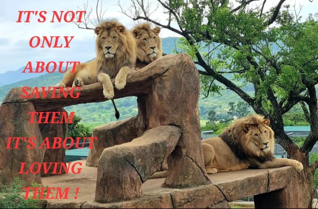 Pumbaa Wildlife Park & Accommodation Mbombela Bagian luar foto