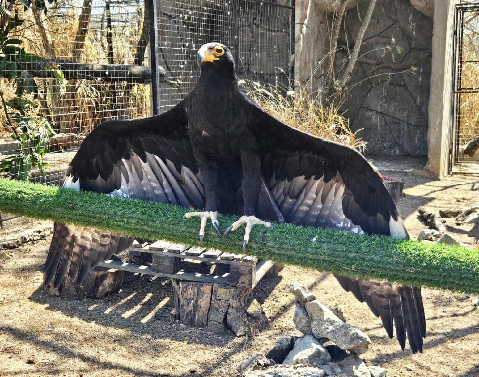 Pumbaa Wildlife Park & Accommodation Mbombela Bagian luar foto